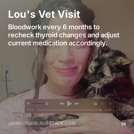 Lou's Vet Visit